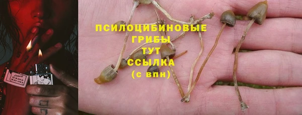 ALPHA-PVP Ладушкин