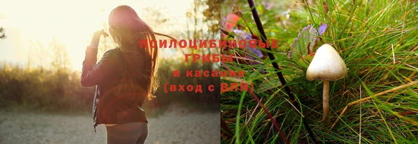 mix Лабытнанги