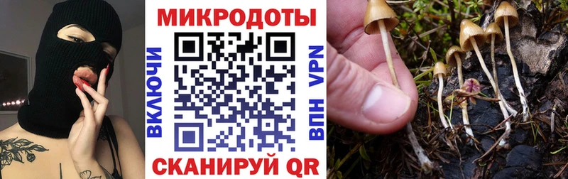 Галлюциногенные грибы Magic Shrooms  Купить закладки  Александровск 